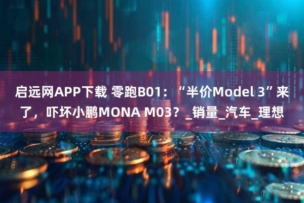 启远网APP下载 零跑B01：“半价Model 3”来了，吓坏小鹏MONA M03？_销量_汽车_理想