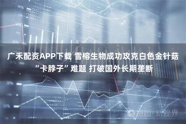 广禾配资APP下载 雪榕生物成功攻克白色金针菇“卡脖子”难题 打破国外长期垄断